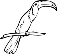 TOUCAN3.WMF