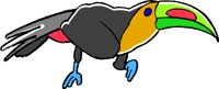 TOUCAN1.WMF