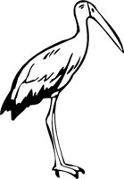 STORK3.WMF