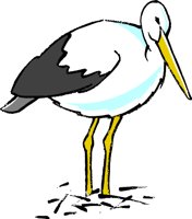 STORK1.WMF
