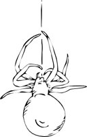 SPIDER3.WMF