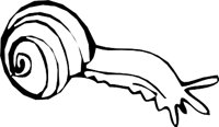 SNAIL3.WMF
