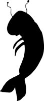 SHRIMPT.WMF