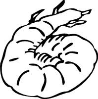 SHRIM3.WMF