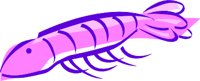 SHRIM1.WMF
