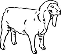 SHEEP3.WMF