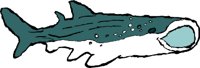 SHARK3J.WMF