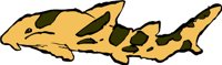 SHARK2J.WMF