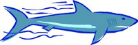 SHARK1.WMF