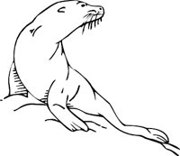 SEAL3.WMF