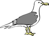 SEAGULLL.WMF