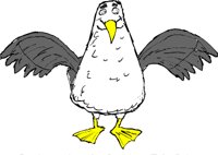 SEAGULLJ.WMF