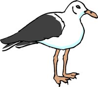 SEAGULL1.WMF