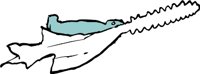 SAWFISHJ.WMF