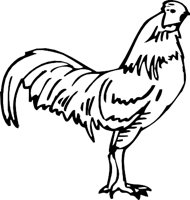 ROOSTER3.WMF
