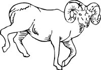 RAM3.WMF