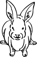RABBIT3.WMF