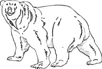 POLAR3.WMF