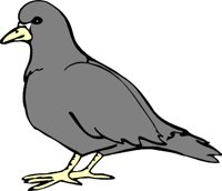 PIGEONL.WMF
