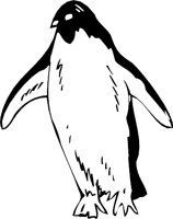 PENGUIN3.WMF