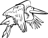 PELICAN3.WMF