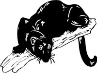 PANTHER3.WMF