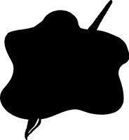 PAIBRUT.WMF