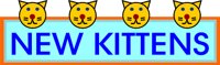 NEW_KIT.WMF