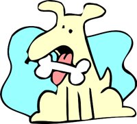 DGBONE02.WMF