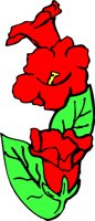 FLORALPL.WMF