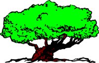 TREE2S.WMF