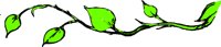 IVY_1S.WMF