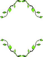IVYFR1PS.WMF