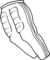 FOOTPANR.WMF