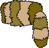 RACCOONR.WMF