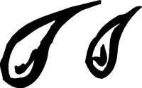 DG1TEARS.WMF