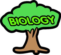 BBIOL4.WMF