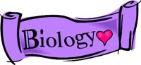 BBIOL1.WMF