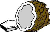 COCONUTF.WMF