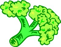 BROC2.WMF