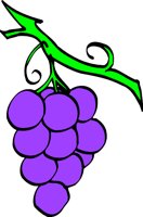 GRAPESL.WMF