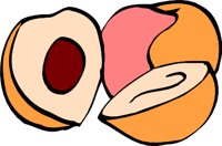 PEACHL.WMF