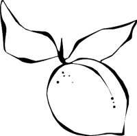PEACH3.WMF