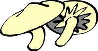 MUSHROML.WMF