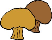 MUSHROMJ.WMF