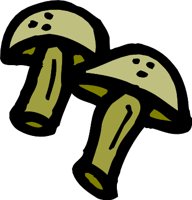 MUSHROM4.WMF