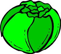 LETTUCEF.WMF