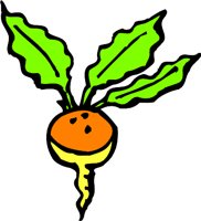 TURNIP4.WMF