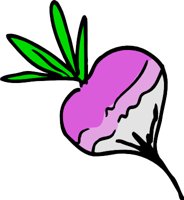 TURNIP2.WMF