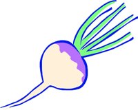 TURNIP1.WMF